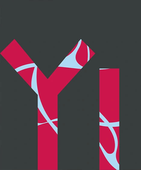 Yi Xis original YI Yi Xis original YI