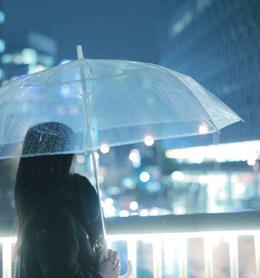 Clear Umbrella in Rain